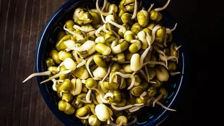 How Sprouted Chana Nutrition Boosts Recovery Without Relying On Expensive Whey Supplements