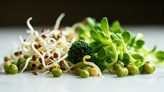 Sprouts Make Light Eating Feel Less Boring
