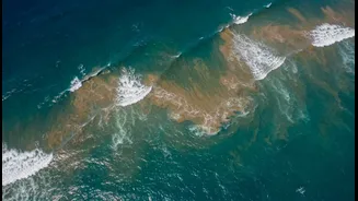 The Ocean Phenomenon That Can Alter India's Weather Patterns