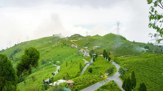 Gangtok and Darjeeling open up: how Kolkata families are booking last-minute this week