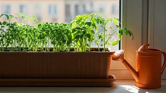 How Urban Families Teach Sustainable Living To Kids Via Gardening
