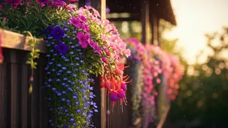 Balcony Blooms: Your Beginner's Guide to Growing Stunning Hanging Flowers from Seed