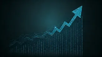 Stock Market Surge: Unpacking the Rally's Dynamics