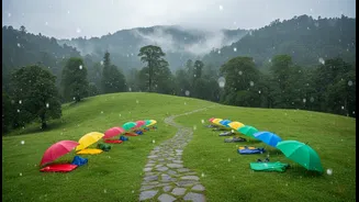 Smart Monsoon Travel Decisions Can Make Rainy Days Less Stressful