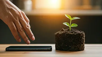 Weeks-Long Social Media Detox: Stanford Study Reveals Mental Health Boost