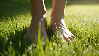 Stroll Barefoot On Dewy Public Grass To Reset Brain Energy
