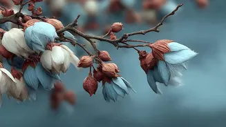 What is kapok fruit?