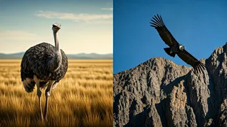 Related Stories banner