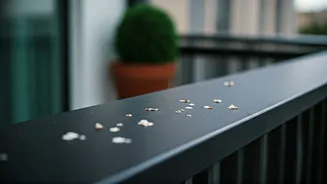 Pigeon Problems Solved: Easy & Effective Ways to Reclaim Your Balcony