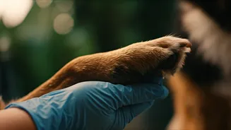 Paw Hygiene Is Every Monsoon Pet Parent’s Job