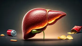 Unmasking the Office Liver Burden: Daily Habits Fueling Fatty Liver & How to Reverse It