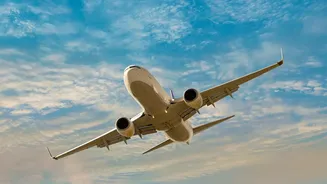 Airline Add-Ons Turn Low Base Fares Into More Complex Choices