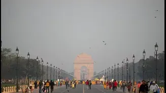 Cold Mornings, Warm Afternoons: How Temperature Swings Affect Immunity in February