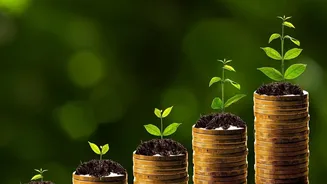 Building A Passive Mutual Fund Portfolio Starts With Simple Spare Change Micro-Investing