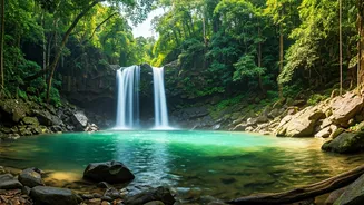 Wayanad Hidden Waterfall Trails Offer Best Offbeat Trek Experience India