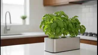 Why Growing Fresh Hydroponic Greens Reduces Renter Reliance On Pricey Supermarket Options