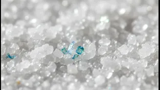 Why latest research on microplastics in salt and sugar alarms clean-eating advocates