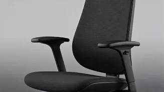 Ergonomic Office Chairs: Your Guide to Back Health