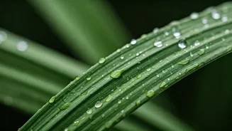 The Rainy Season Skincare Guide You Need