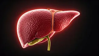 Too Much Vitamin D? Know The Symptoms