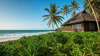 Find Ultimate Privacy At Serene Southern Goa Isolated Beach Chalets