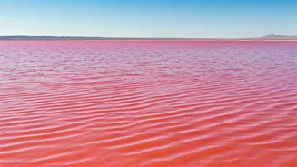 Related Stories banner