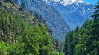 Offbeat Himachal Monsoon Retreats: Relax In Tirthan Valley And Shoja Away Crowds