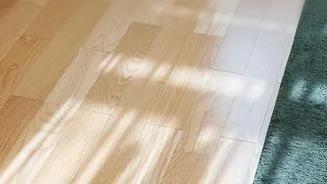 Rainy Weather And Indoor Smells: Practical Dampness-Control Tips