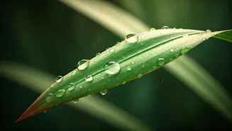 Why Lightweight Skincare Wins During The Monsoon