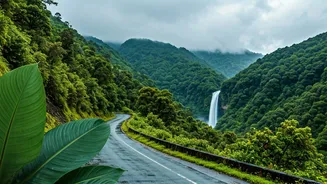 From Shillong To Mawsynram, Meghalaya Shines In Monsoon