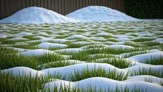 Winter Lawn Care: Navigating Snow's Impact for a Healthier Yard