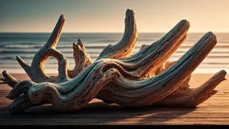 Driftwood Decor: Unlock Rustic Charm and Natural Beauty for Your Home