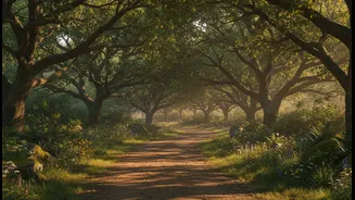 A Restorative Route Should Feel Safe Enough to Relax In
