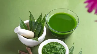 How To Stop Pest Infestations On Balcony Greenery With Safe Natural Neem Oil Spray Hacks
