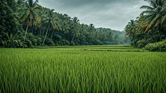 Moody Rain Makes Goa Look Cinematic Again