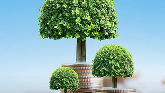 Why Keeping Investments Intact Uninterrupted Is Critical For Maximising Compound Growth