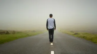 Ten minute strolls after eating prevent sugar spikes and reduce afternoon brain fog naturally