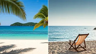 Goa's Tourism Snapshot: Domestic Strength Shines Amidst International Travel Slump