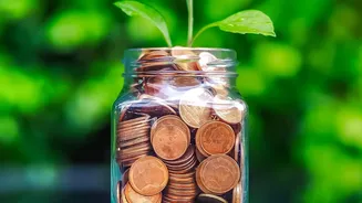Direct mutual plan investments eliminate distributor fees to boost net wealth accumulation significantly