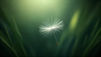 10 Subtle Signs Your Soul Is Crying Out for Healing