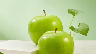 Kashmir Cooperatives Modernise Cold-Storage Logistics To Cut Losses During Apple-Crushing Season