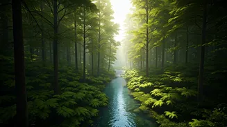 Lush Green Getaways Are The New Travel Mood