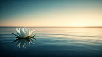 Thich Nhat Hanh: Unlocking Freedom and Happiness Through Letting Go