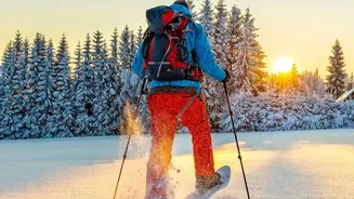 Why Beginner-Friendly Winter Treks Deliver High Adventure Value Without Extreme Physical Strain