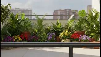Balcony Gardening Begins with Four Checks: Load, Wind, Water and Position