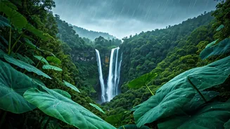 Experience True Rain Magic At Wettest Places On Earth