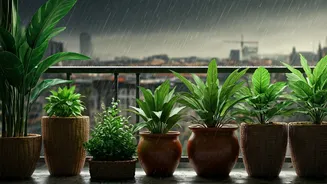 Container Gardening Is The Urban Monsoon Flex