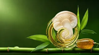 Beyond Snail Mucin: The Best Hydrating Plant Ingredients Online