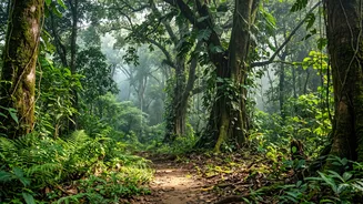 Five Vandarshan Itineraries Connect Travellers With Maharashtra's Reserves