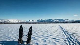Uncover Iceland's Winter Magic: A Snowshoer's Guide to Remote Trails and Essential Gear